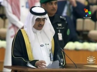 Arab-S. American Summit Backs Palestine, Peace in Syria