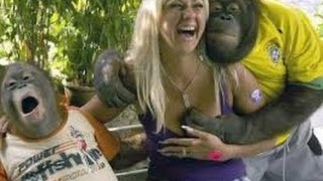 Super Funny Monkeys Compilation 2015