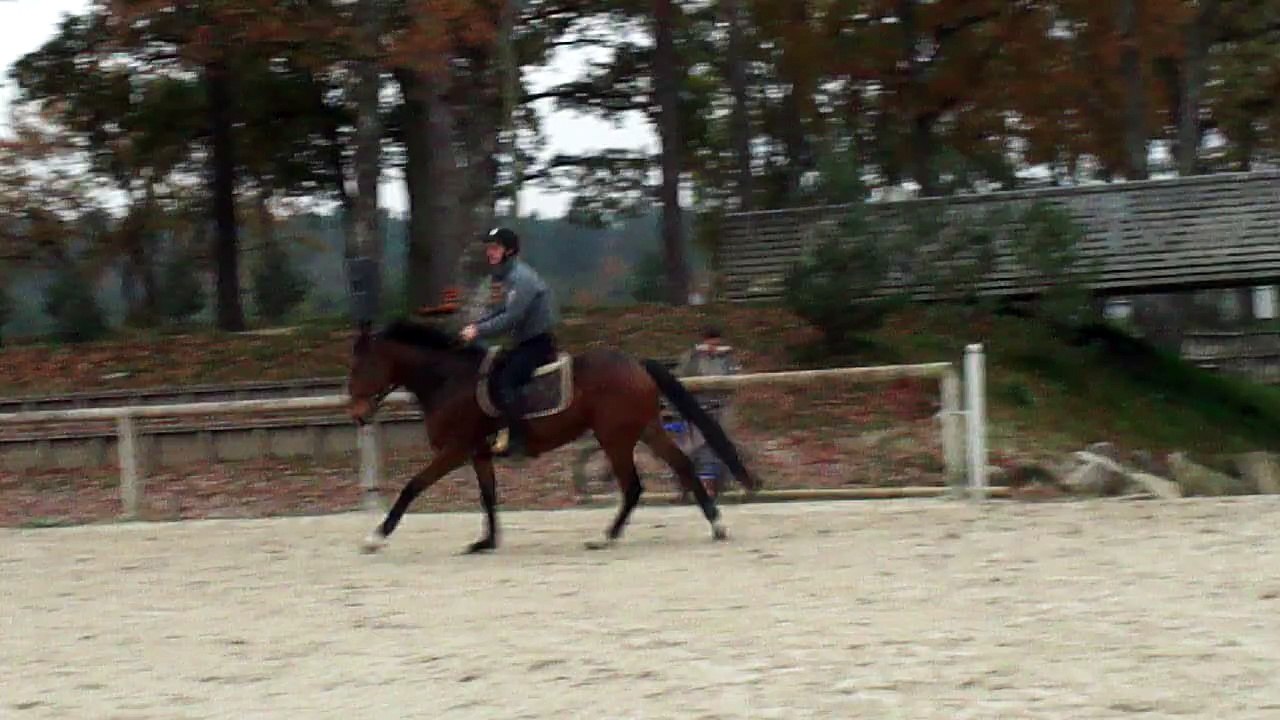 carton plein droit nov 2015