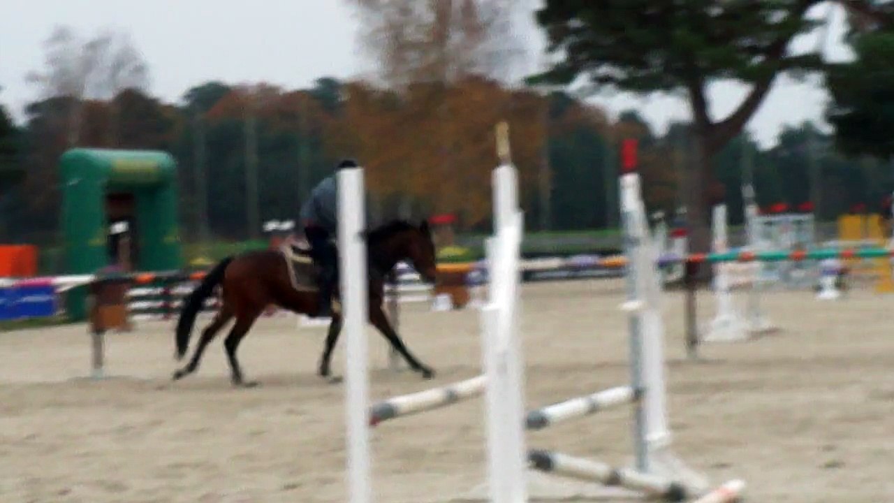 1er oxer en condition de concours nov 2015