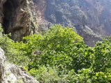 Fethiye Saklıkent Kanyonu - Muğla
