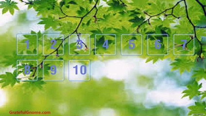 What Do Birds Eat- All You Need To Know