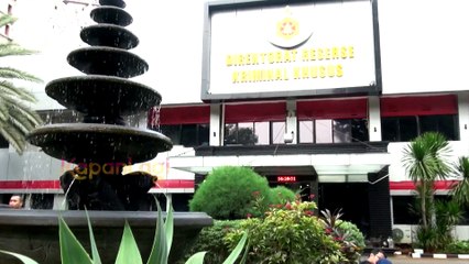 Haters Bella Shofie Akan Dijemput Paksa Jika Absen Lagi