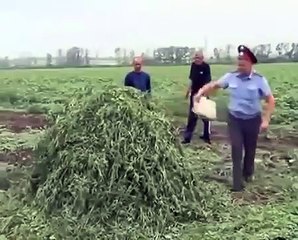 Бог наказал мента за поджег АНАШИ )))))