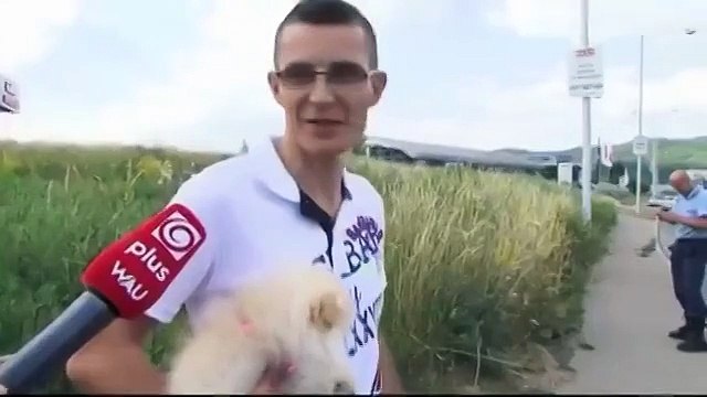 Моя вера в человечество восстановлена! Это невозможно мило