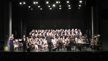 Banda Visconde de Salreu - Amigos Para Siempre (com Carlos Guilherme e Inês Soares da Costa)