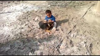 Funny dog playing with little child.must watch