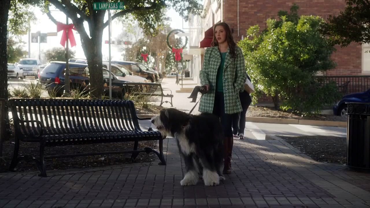 A DOGWALKER'S CHRISTMAS TALE Trailer - Jonathan...