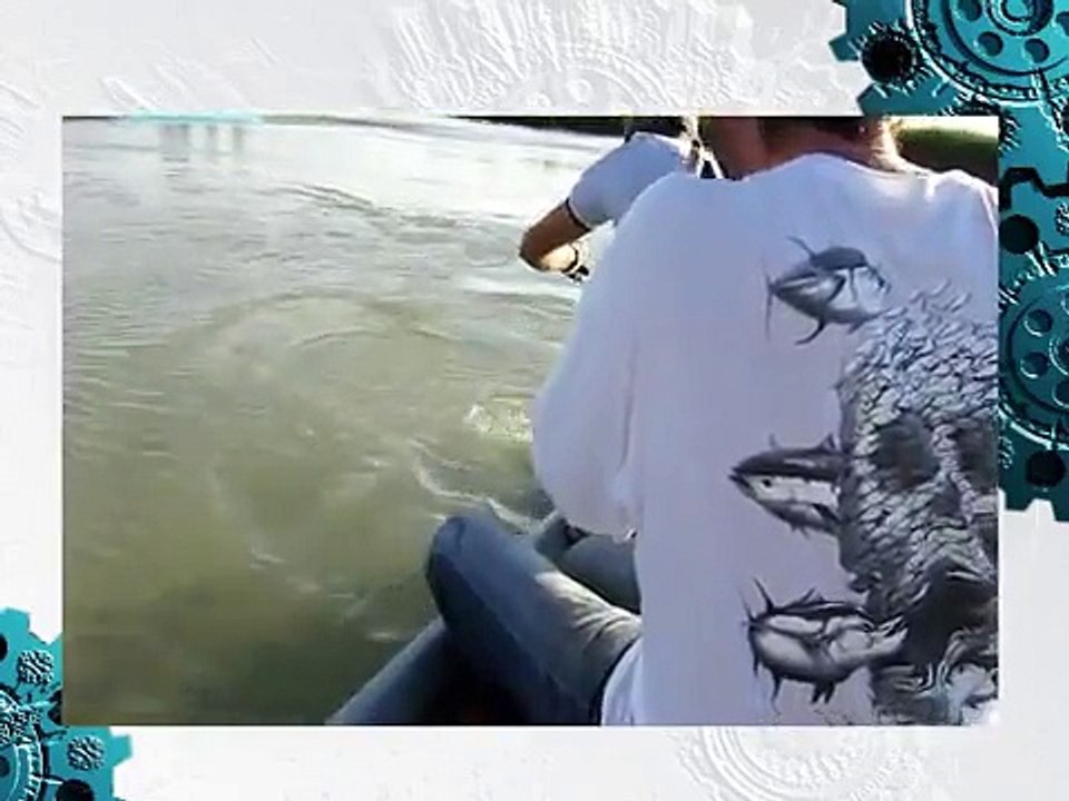 Fishing For Catfish