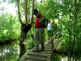 Marais poitevin