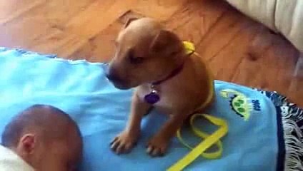 Her Baby Is Asleep Now Watch What The Puppy Does… Oh My GOD! - YouTube