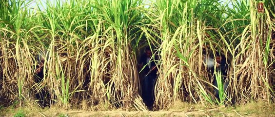 -Geeta-Zaildar-302Fire-Video-Song-Feat-Alfaaz-Money-Aujla--Latest-Punjabi-Video