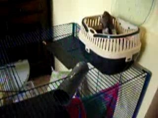 Tous dans la boite de transport !