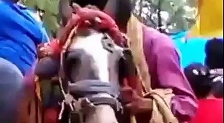 Funny Videos Compilation 2015 _ WhatsApp Videos_ Funny Indian Videos _ Vine Compilation Part 166-0dOx7oJdgG8