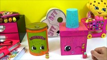 DIY Shopkins Storage with Season 3 Limited Edition Chelsea Charm, Paint Toy Craft Video