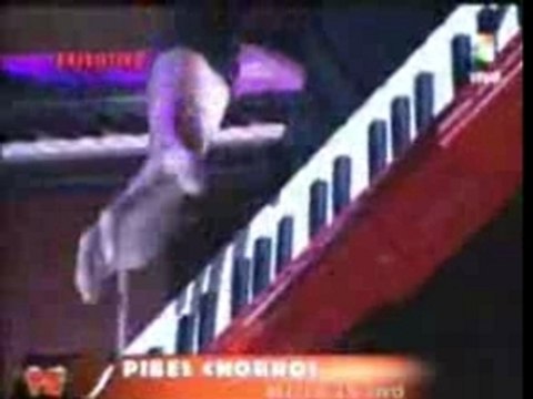 Pibes chorros-en vivo