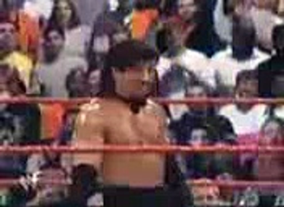 Wwe Catfight
