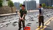 Amazing fish Raining in Thailand street