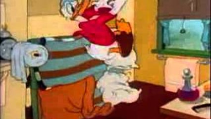 Donald Duck Mickey Mouse and Goofy Camping Trip