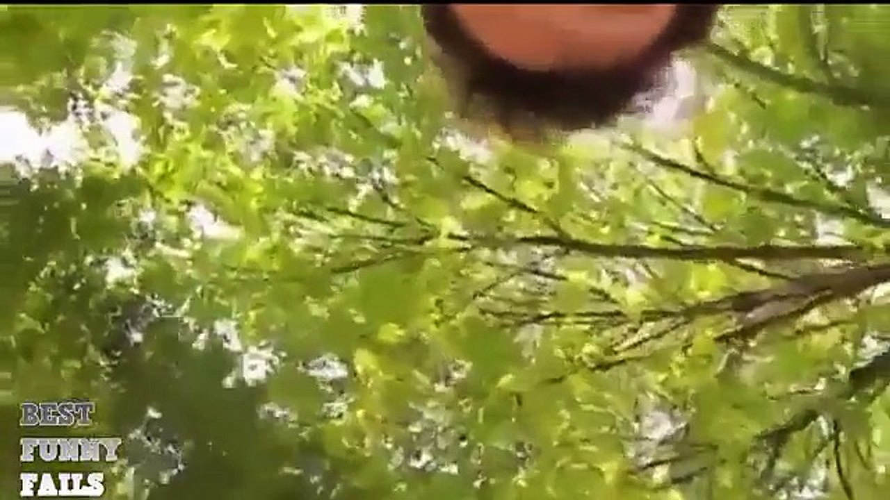 Funny videos compilation june 2015. Morsomme videoer. Roliga filmer. Hauskoja videoita