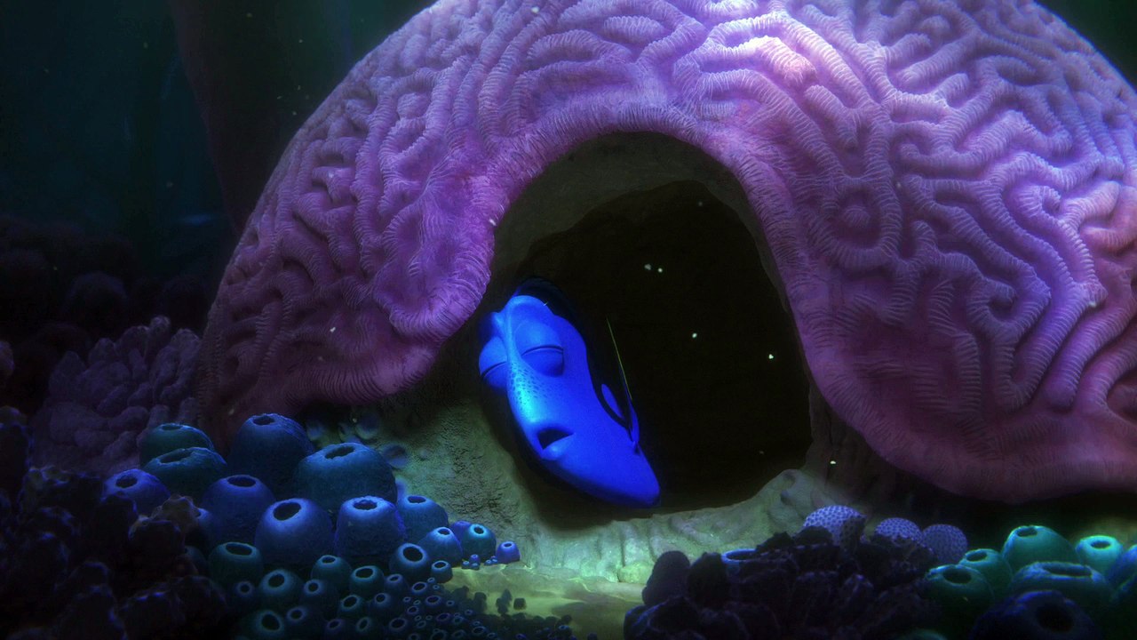 Kayıp Balık Dory Türkçe Film Fragmanı