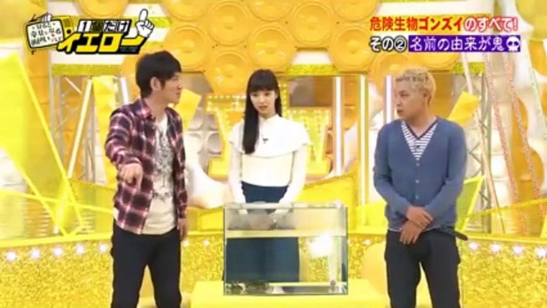 1個だけイエロー 15年11月11日 田村亮が危険生物ゴンズイを語る 動画 Dailymotion