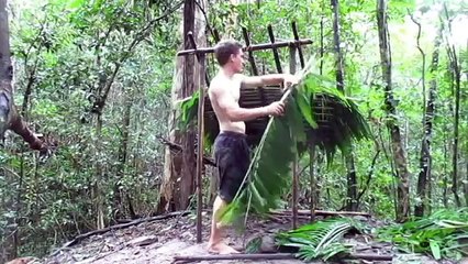Wood shed and Native bee honey