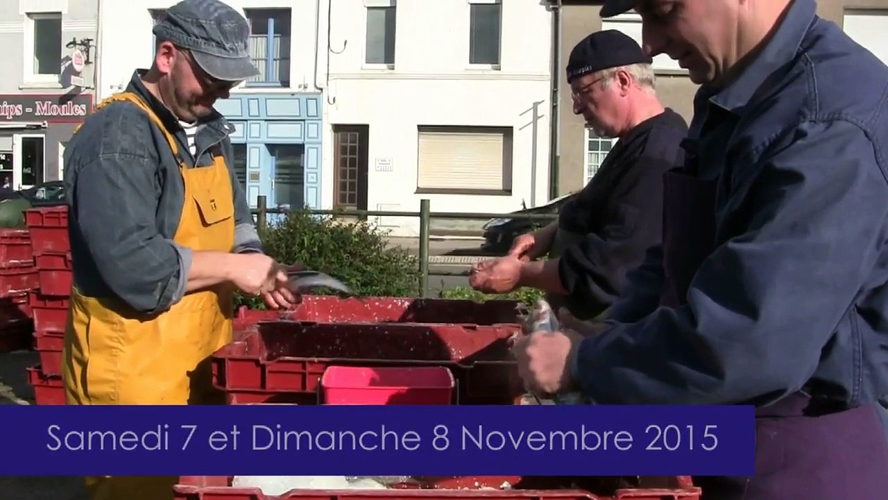 Hareng Roi à Etaples - 7 et 8 novembre 2015
