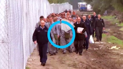 Migrant crisis: Swedish border checks introduced