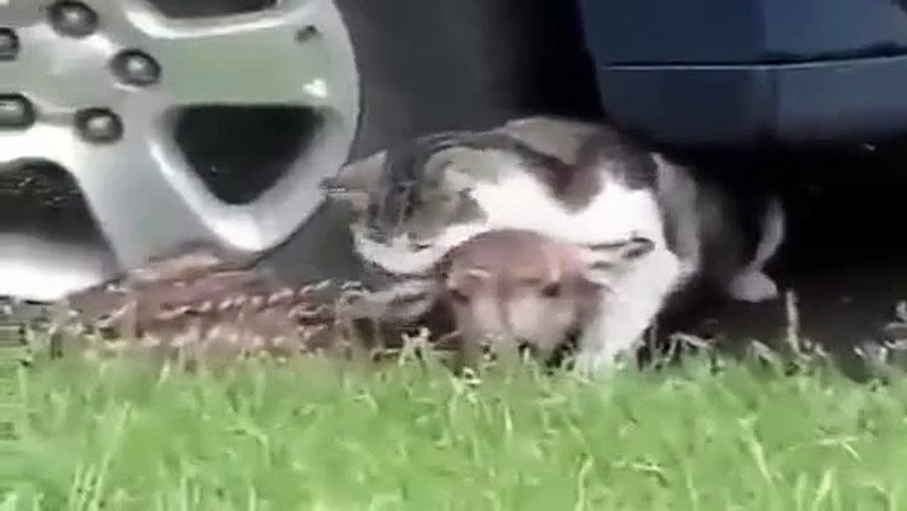 Mother's care is the biggest one, you cannot win this