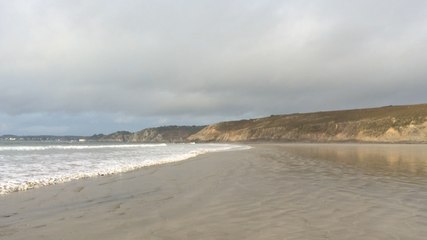 Les stocks de tellines de la plage de l'Aber évalués