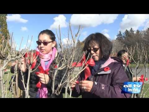 무궁화사랑모임 현충일 추모행사 ALLTV NEWS EAST 11NOV15