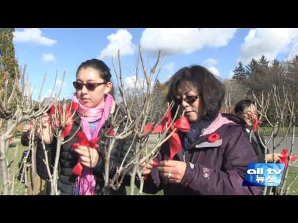 무궁화사랑모임 현충일 추모행사 ALLTV NEWS EAST 11NOV15