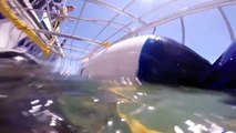 Un requin blanc attaque des plongeurs en cage