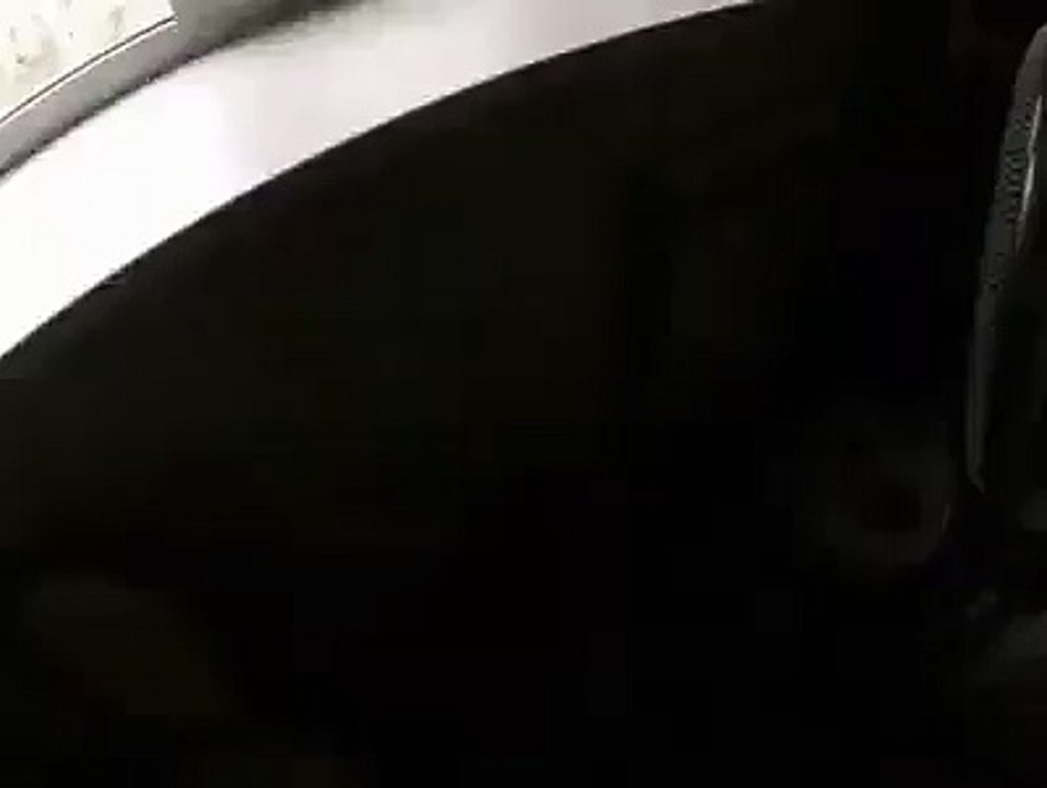 ﻣﺨﻠﻮﻕ ﺿﺨﻢ ﻳﺘﺴﻠﻖ المنازل شئ لا يصدق