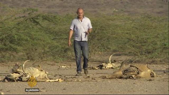 Ethiopia faces worst drought in decades