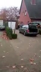 This is what happens whenever it's time to go to the dog park! - YouTube