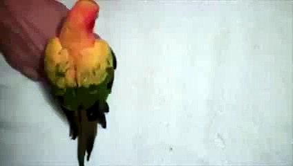 Tucking In To Bed - YouTube