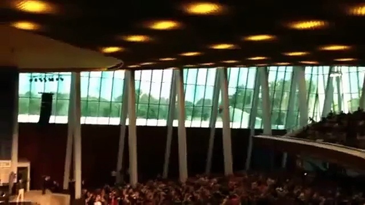 L'oiseau a volé. Drôles d'oiseaux qui volent autour de la salle