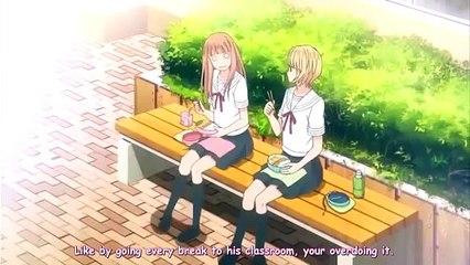 Tsubasa no Hotaru OVA - sub español