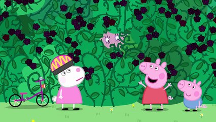 캔디 Peppa Pig - The Blackberry Bush (Clip) george pig