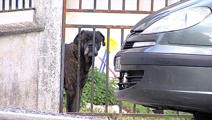 Pauvreté: la fracture de mobilité