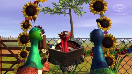 El pavo y la pava HD