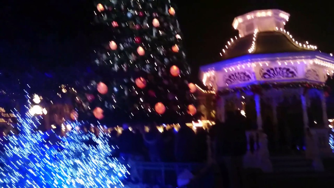 Illulination du sapin (2015)