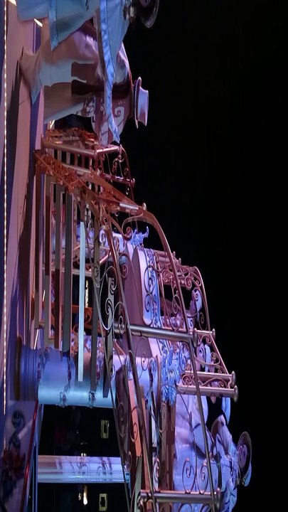 Illumination du sapin avec Mickey et ses amis (2015)