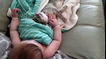 Sevimli Çocuktan Minnoş Bir Kediyi Uyandırma Rehberi