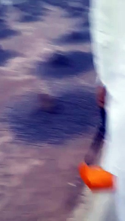 VID-20150622-WA0019
