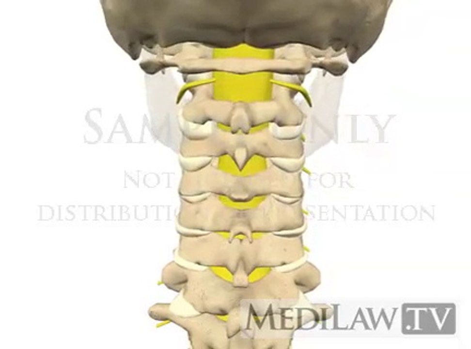 cervical spine rotation