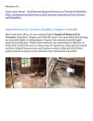 Learn More About Petty Pest Control Services