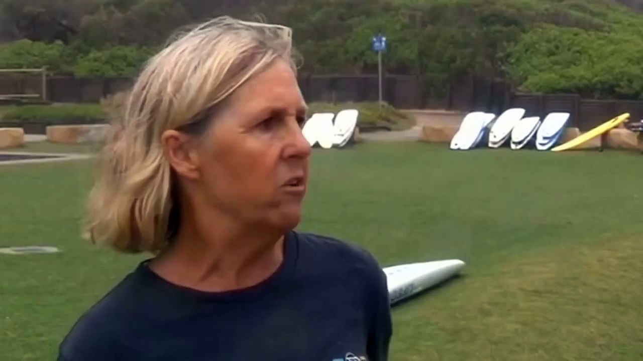 Un bébé baleine sauvé d'un filet anti-requin en Australie